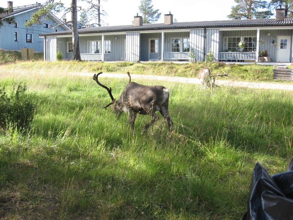 Aslak Apartment Saariselkä Zewnętrze zdjęcie